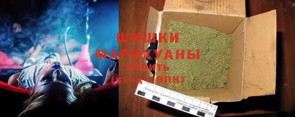 ГАЛЛЮЦИНОГЕННЫЕ ГРИБЫ Михайлов