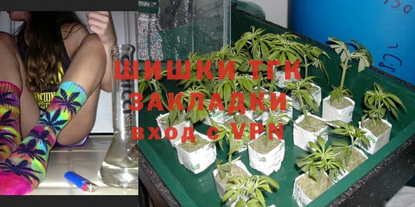 гидра Наволоки
