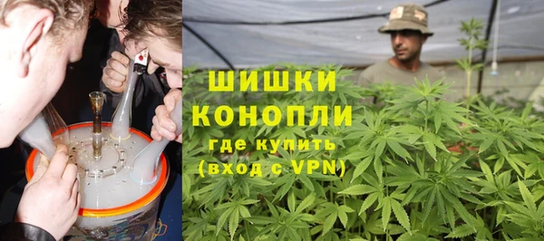 ГАЛЛЮЦИНОГЕННЫЕ ГРИБЫ Михайлов