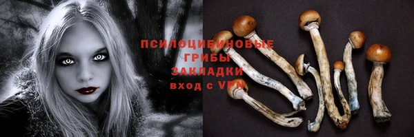 ГАЛЛЮЦИНОГЕННЫЕ ГРИБЫ Михайлов