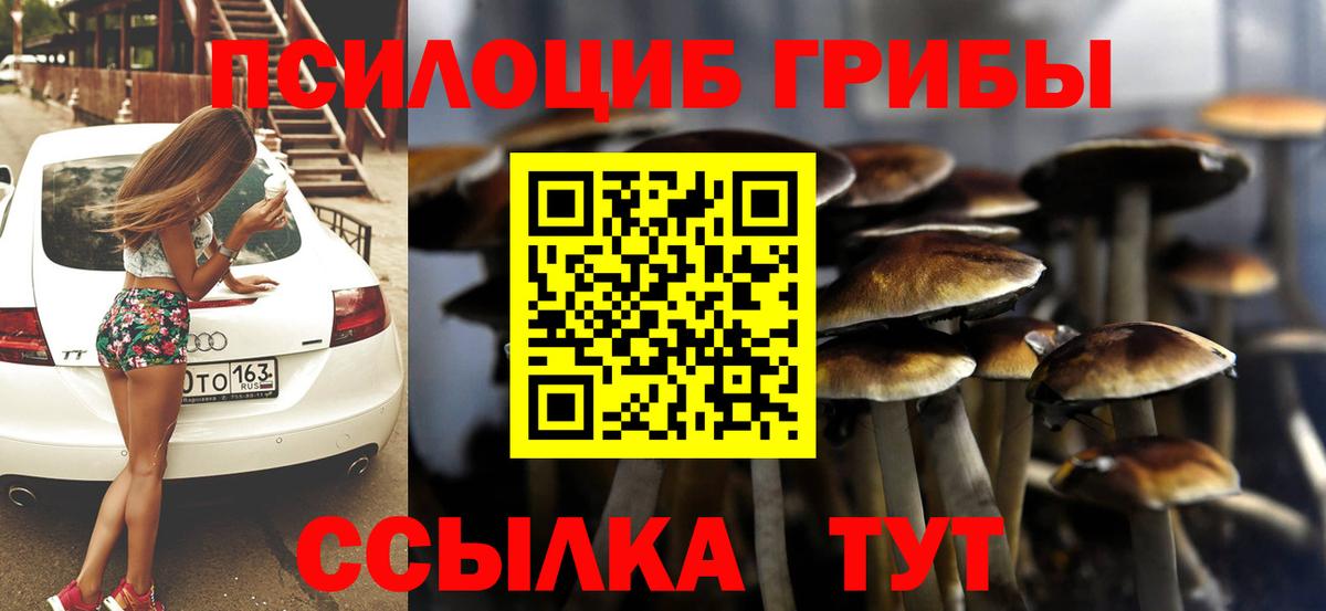 Нововоронеж  Галлюциногенные грибы Magic Shrooms  Вход с VPN 